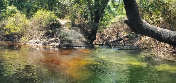 Sullivan Blue Swallet spring water meets tannin Withlacoochee River Water, 14:50:35, 30.4929739, -83.2436478