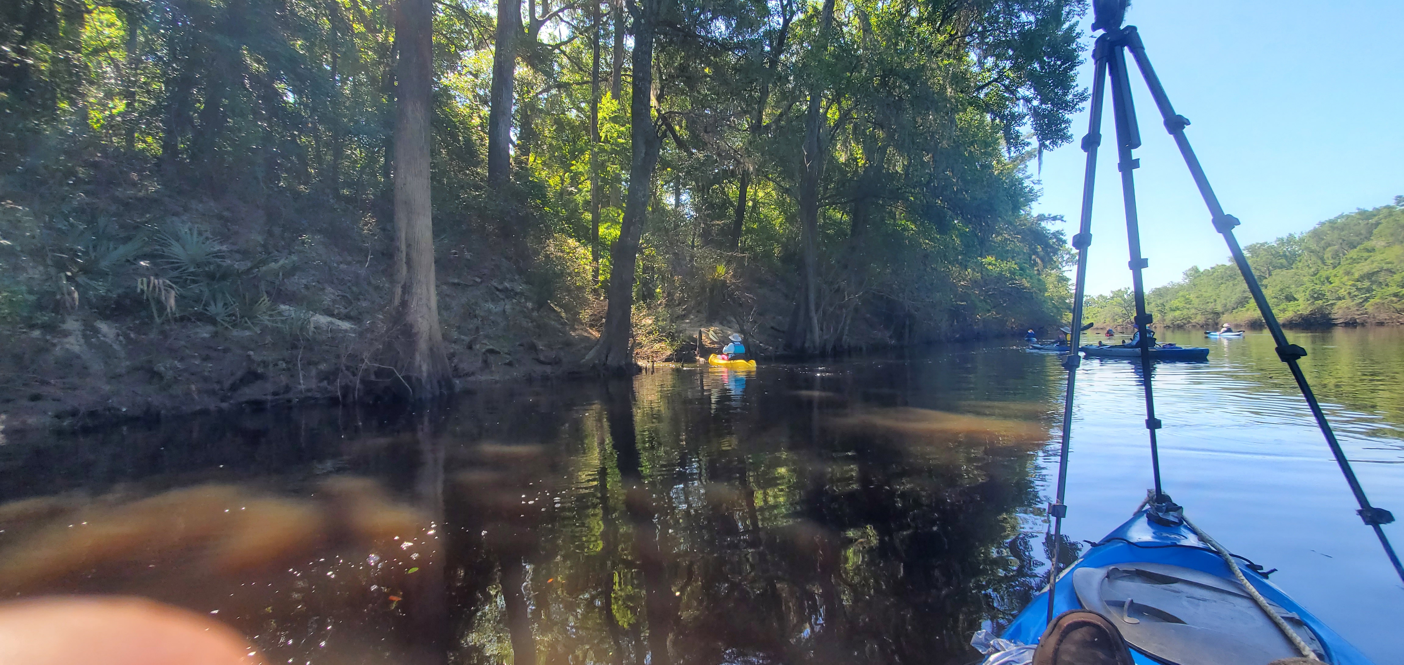 A tiny creek or spring, 10:43:56, 30.5915081, -83.2579545