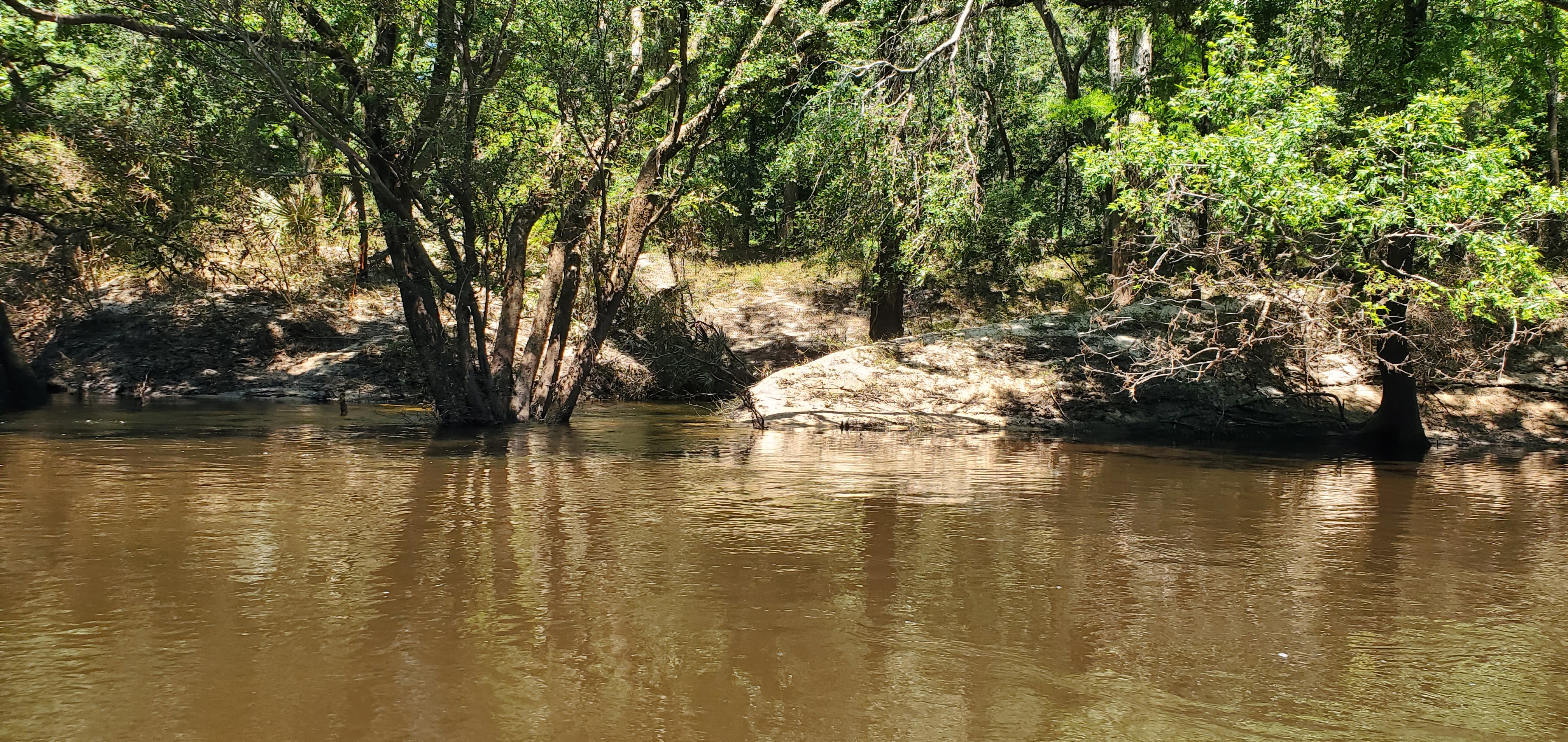 Creek, left bank, Hardee Camp Road, 12:03:00, 30.5542254, -83.2605766