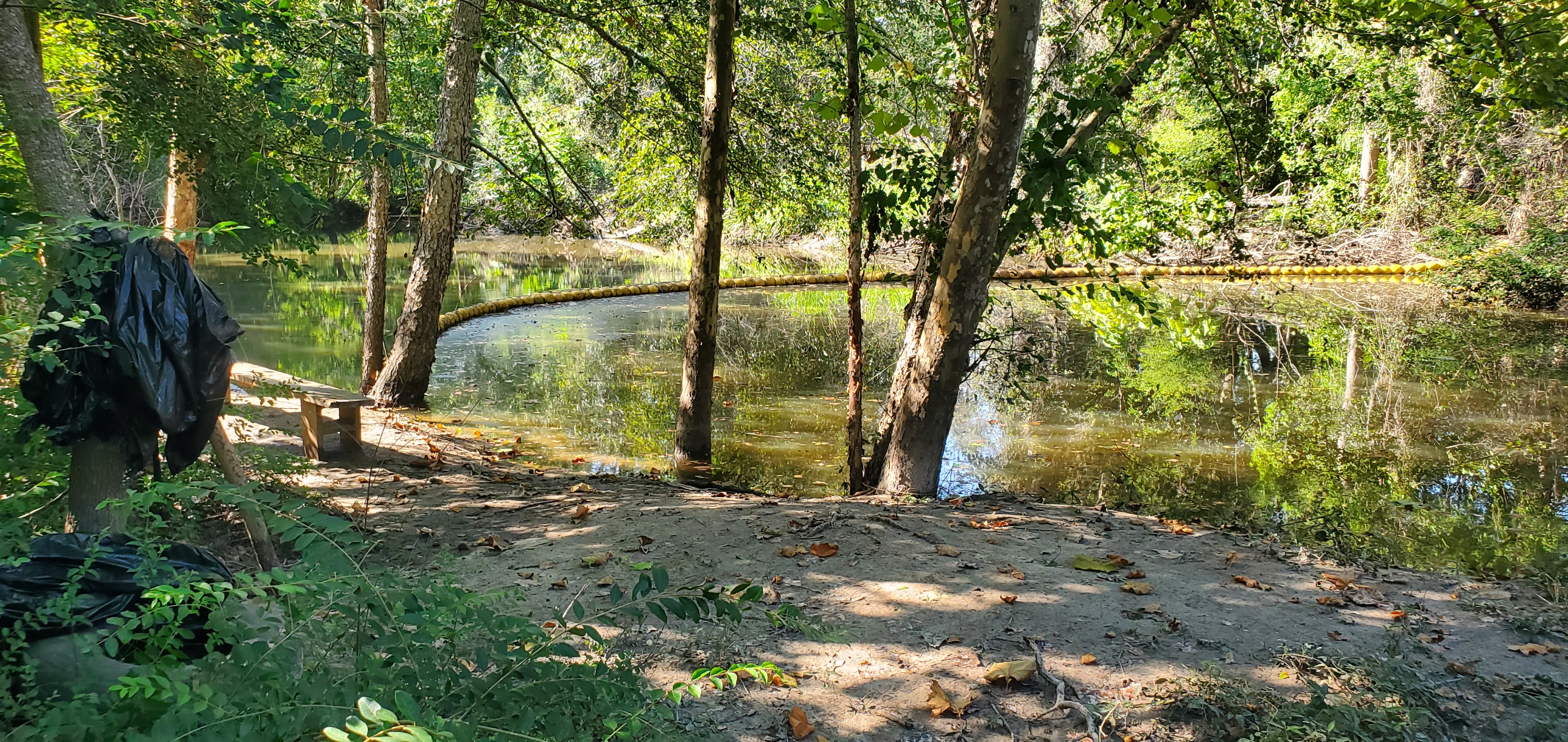 Sugar Creek WaterGoat, 17:14:39, 30.8622989, -83.3188405