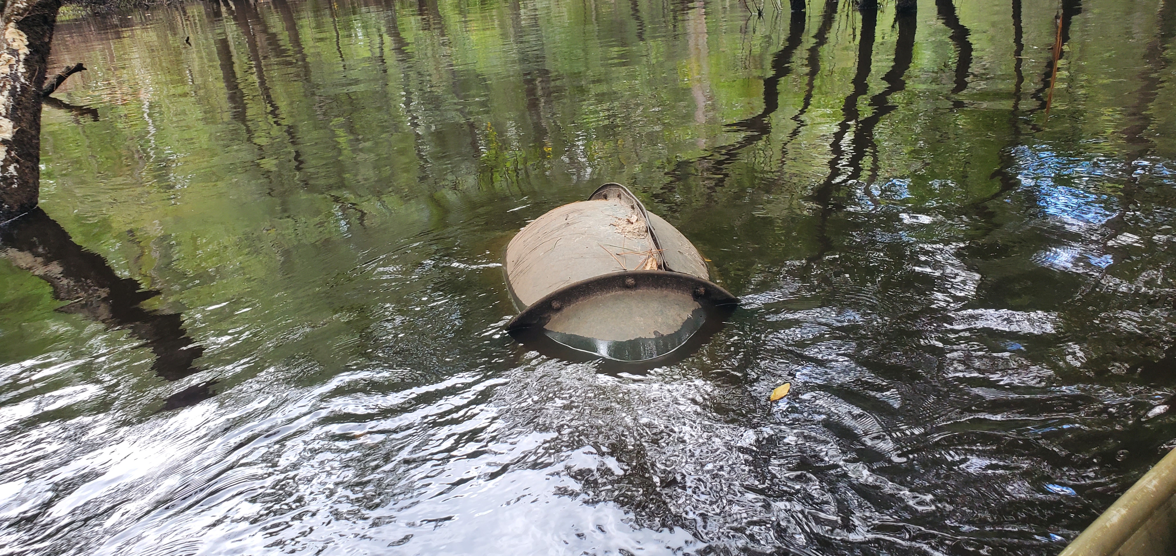 What is this thing near left bank?, 13:37:45, 30.8718080, -83.3239964