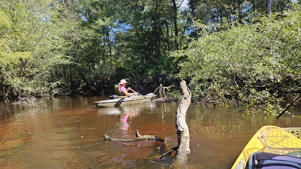 [Tish towing limbs --Darlene Eanes Ray, 12:04:49, 31.2122641, -83.5115733]