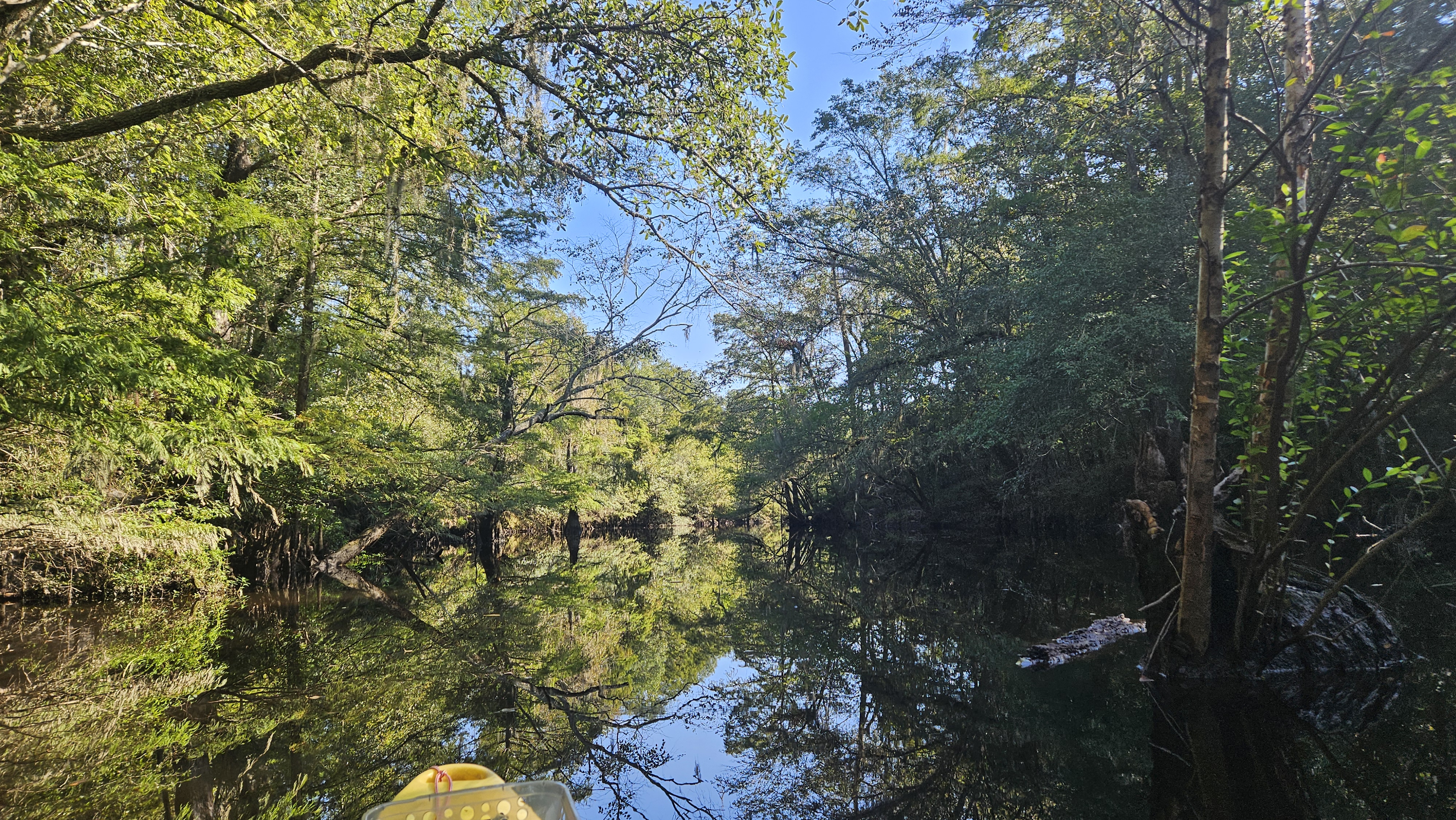 Upper end of Rountree Lake --Darlene Eanes Ray, 10:04:28, 31.2038655, -83.5135901
