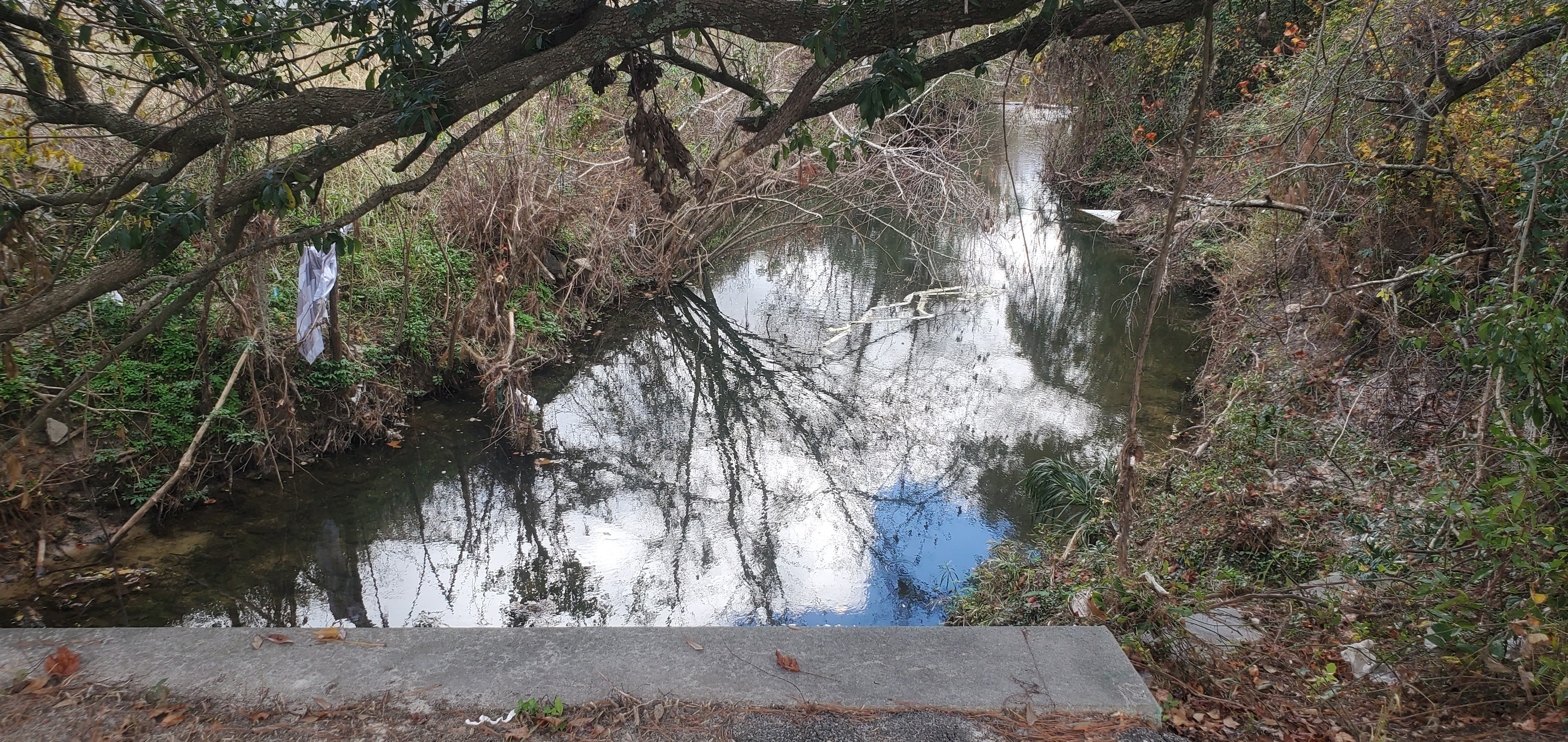 Upstream, West Gordon Street, One Mile Branch, 14:03:06, 30.8406717, -83.3066434