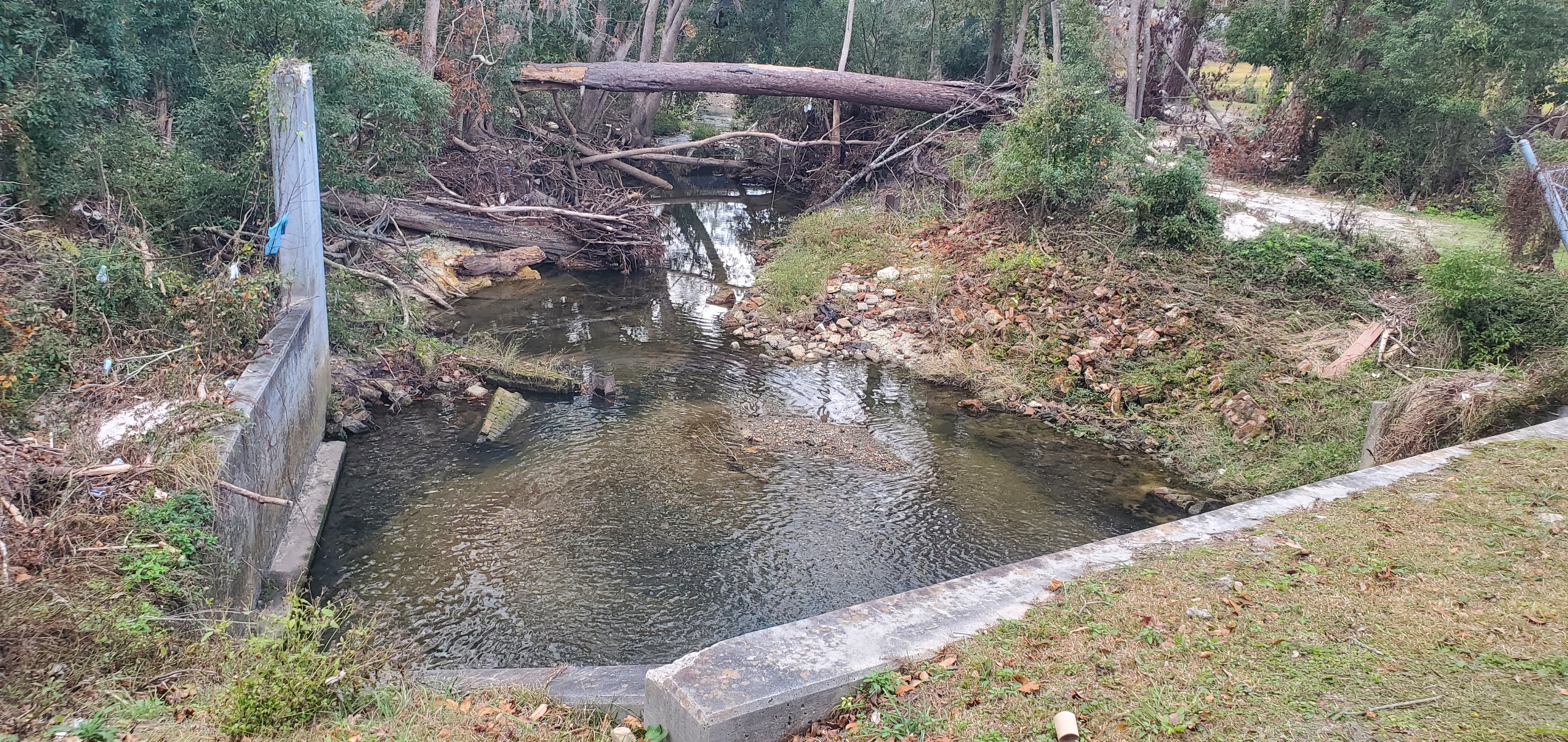 Downstream, West Gordon Street, One Mile Branch, 14:03:21, 30.8406717, -83.3066434
