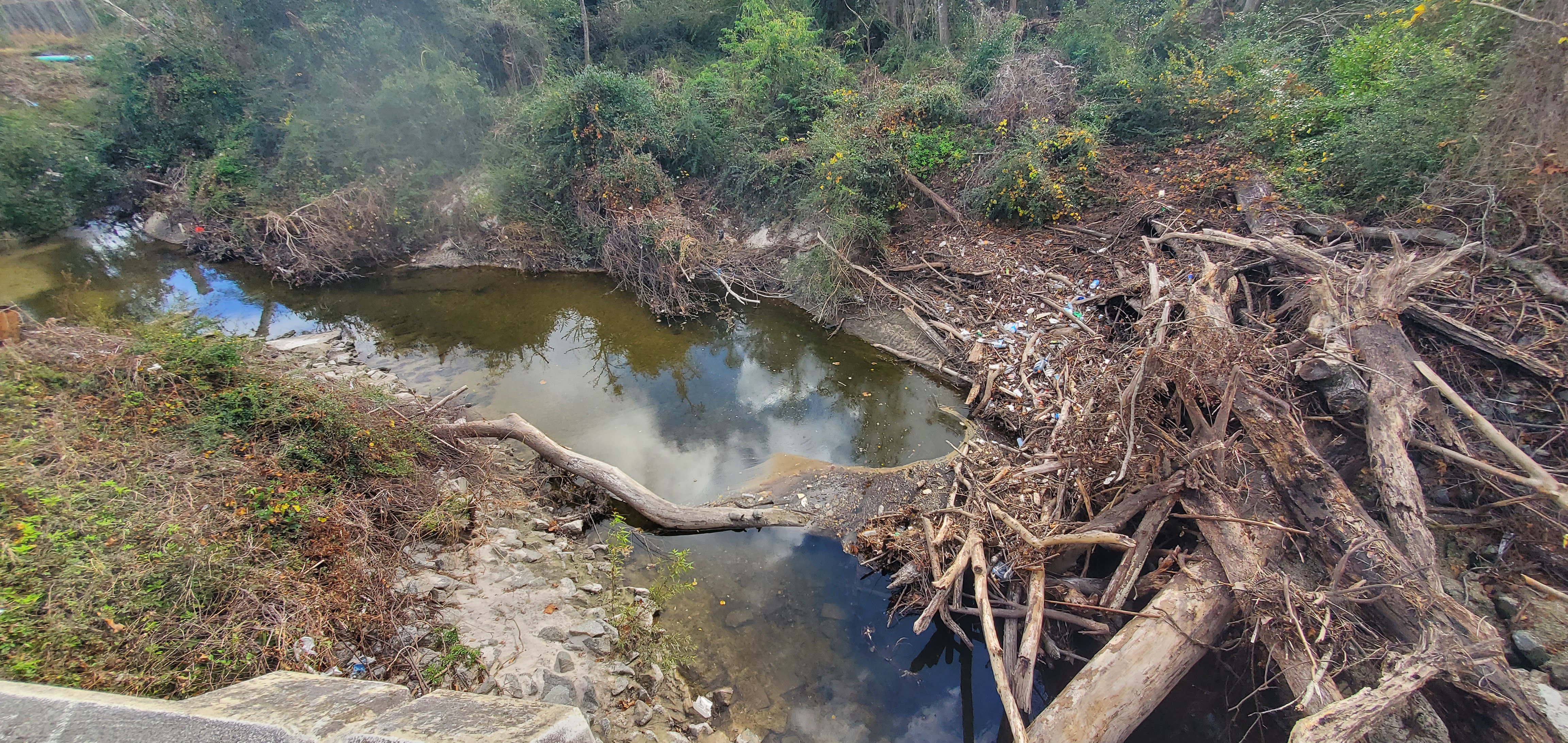 Trash upstream, Baytree Road, 14:21:22, 30.8470267, -83.3138254