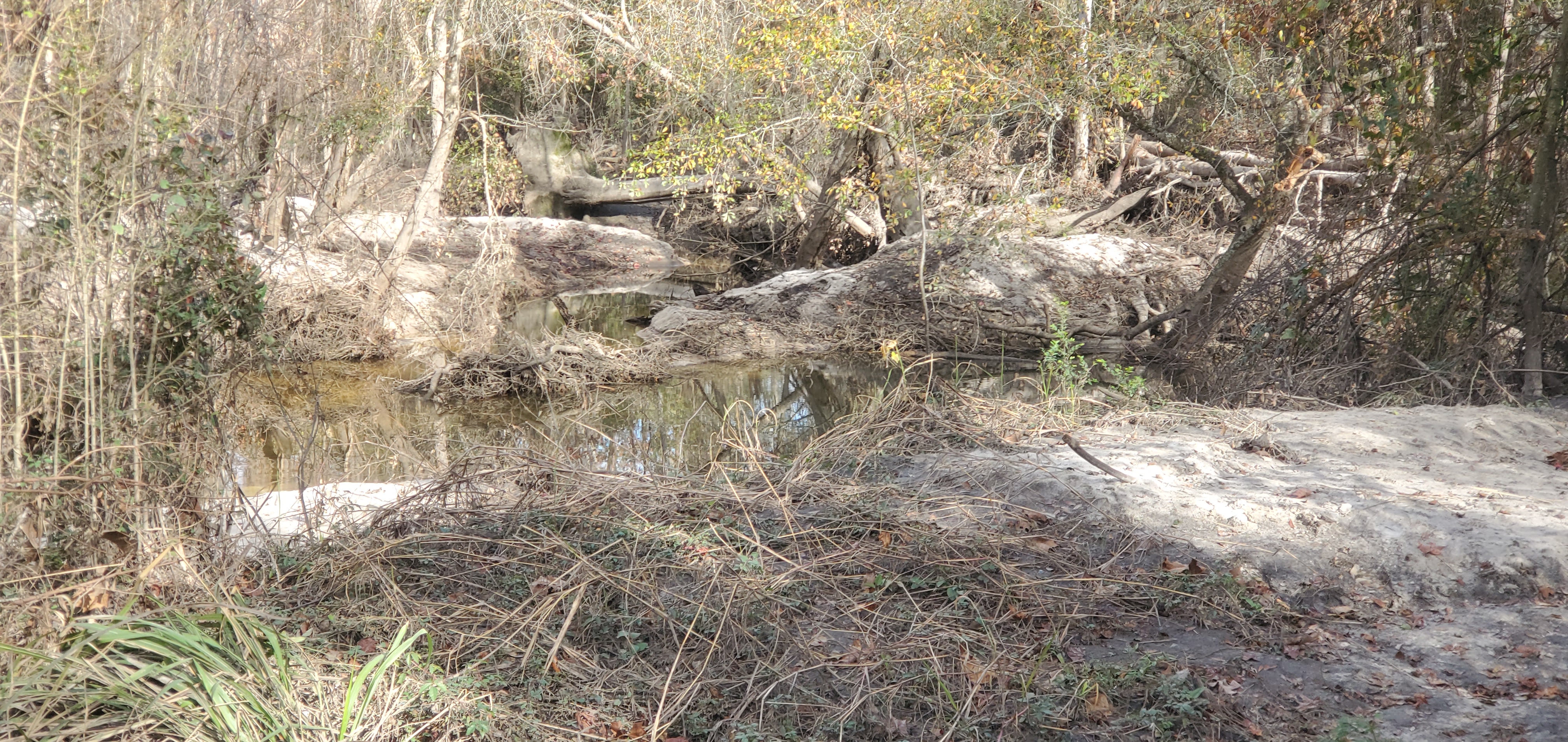 Two Mile Branch entering Sugar Creek, 14:40:38, 30.8620808, -83.3188620