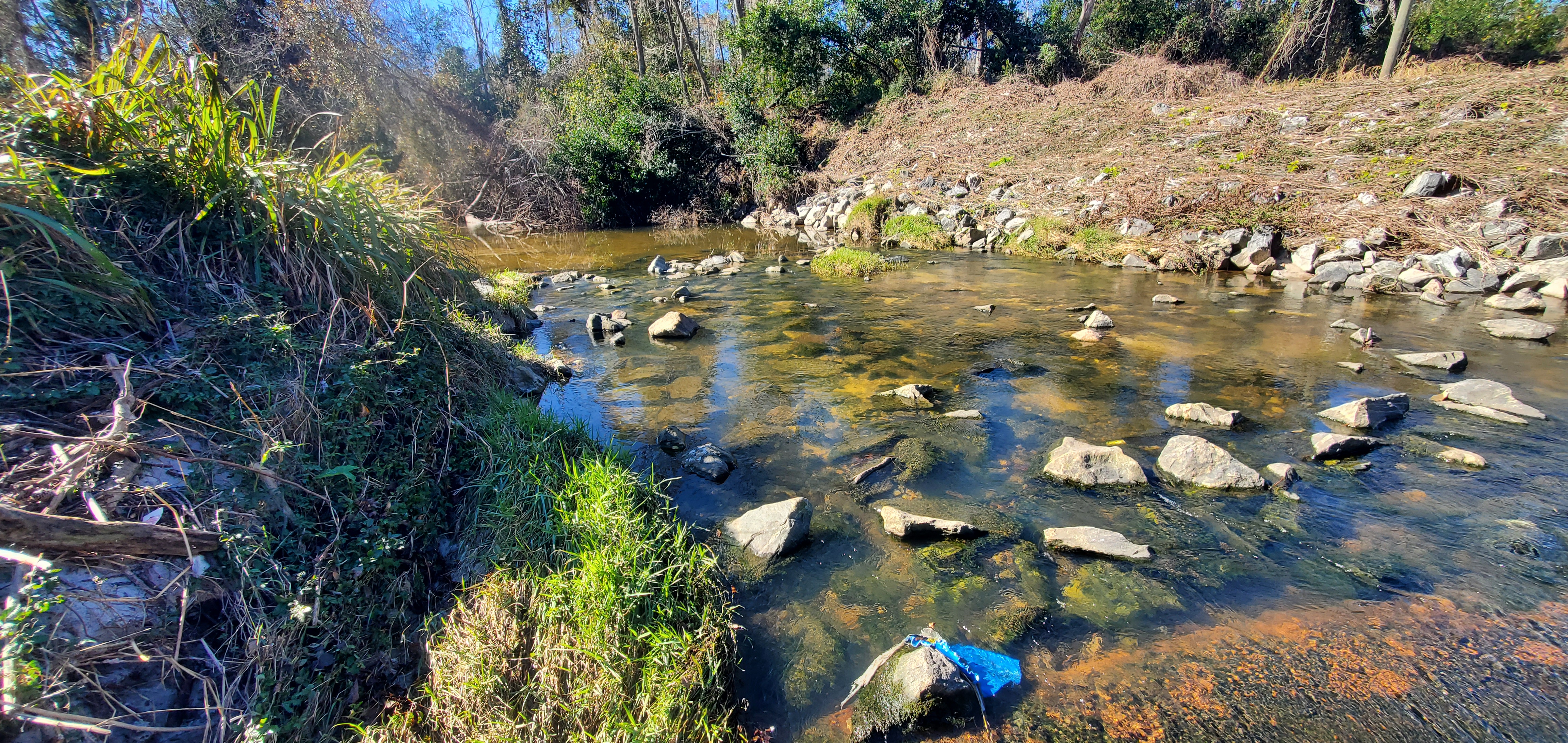 Looking upstream from sewer line above NSRR, Sugar Creek, 2025:01:02 12:39:13, 30.8519224, -83.3148713