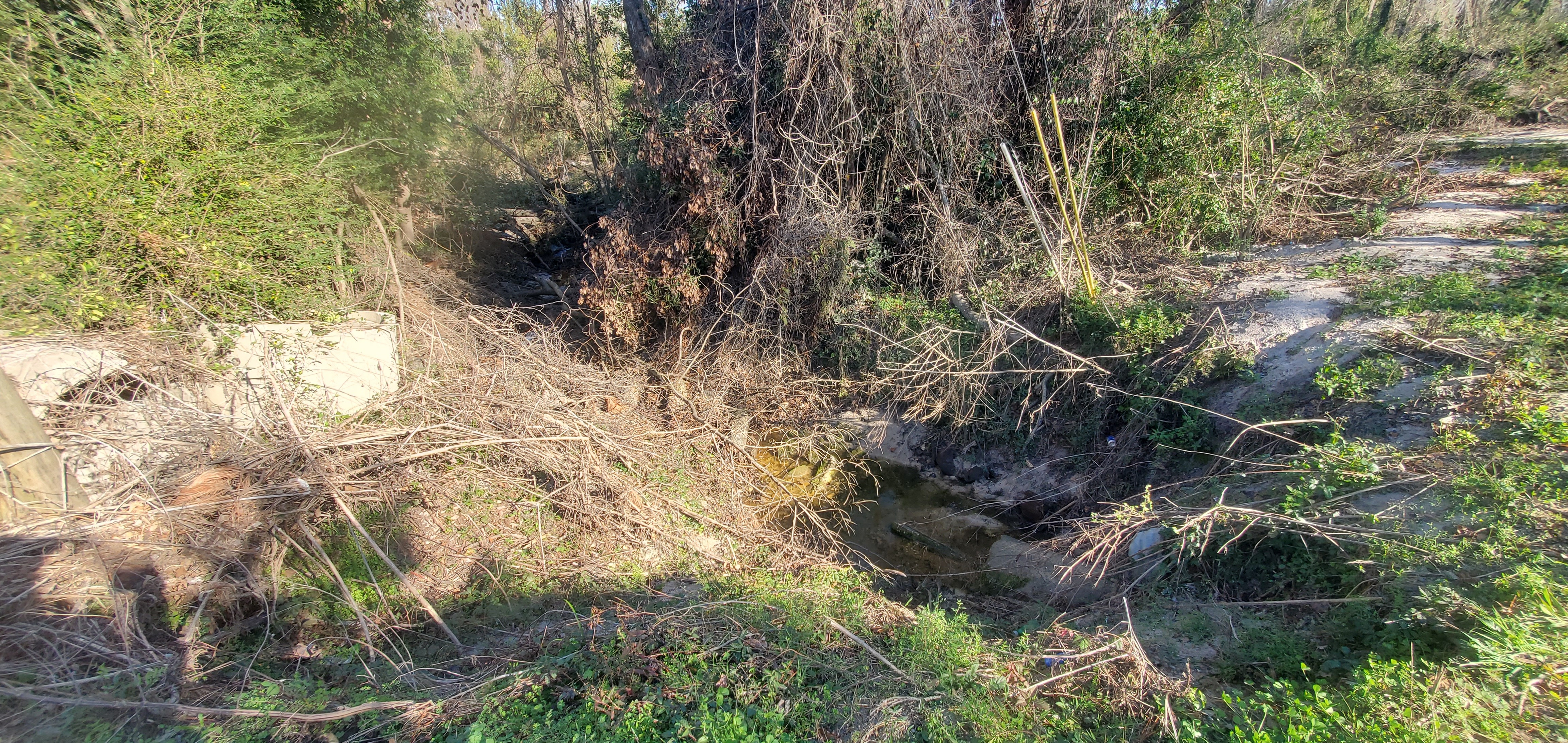 Feeder creek off of railroad, 2025:01:07 15:12:47, 30.8573425, -83.3165516
