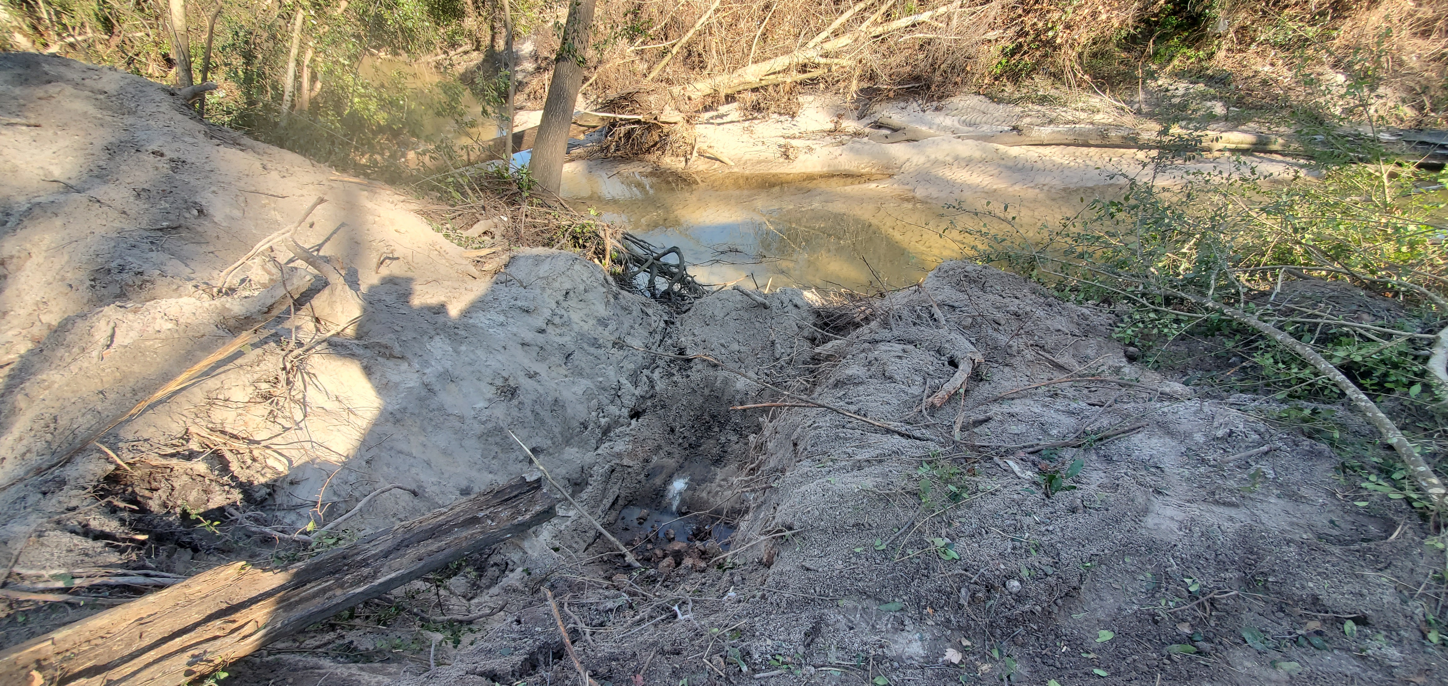 Cleared to the creek, 2025:01:07 15:19:37, 30.8545876, -83.3154885