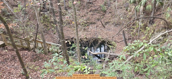 [Steep stairs, Mill Creek Sink, 2026:01:13 15:48:39, 29.8010200, -82.5085104 --jsq for WWALS]