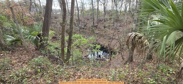 [Sonny's BBQ, Mill Creek Sink, 2026:01:13 15:49:28, 29.8010200, -82.5085104 --jsq for WWALS]