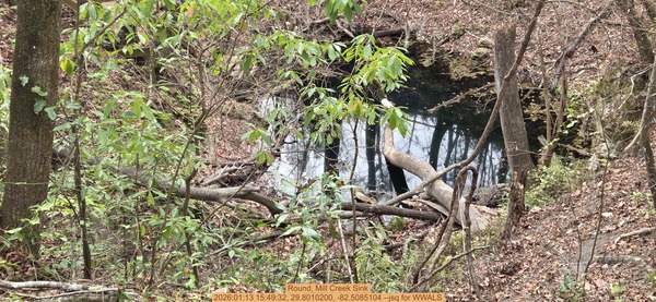 [Round, Mill Creek Sink, 2026:01:13 15:49:32, 29.8010200, -82.5085104 --jsq for WWALS]