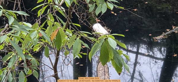 [Float, Mill Creek Sink, 2026:01:13 15:49:38, 29.8010200, -82.5085104 --jsq for WWALS]