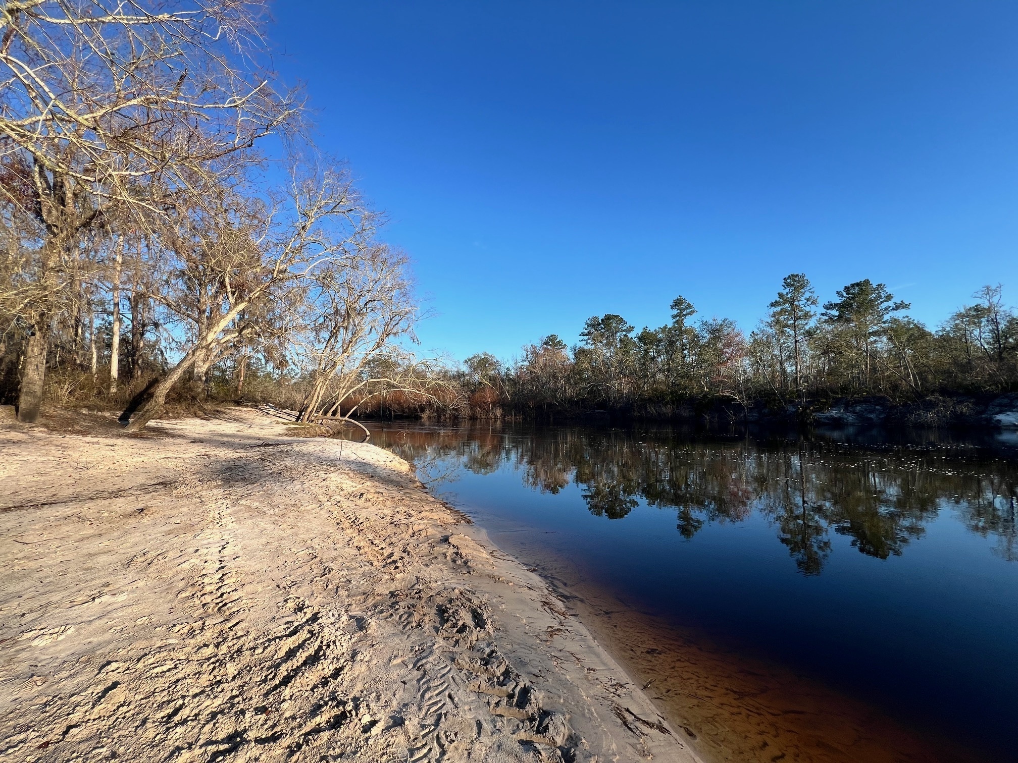 Downstream, Naylor Park Beach, Alapaha River @ US 84 2025-02-27