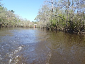 [Upstream to CSX RR Bridge --Phil Royce, 2025:03:22 12:34:43]