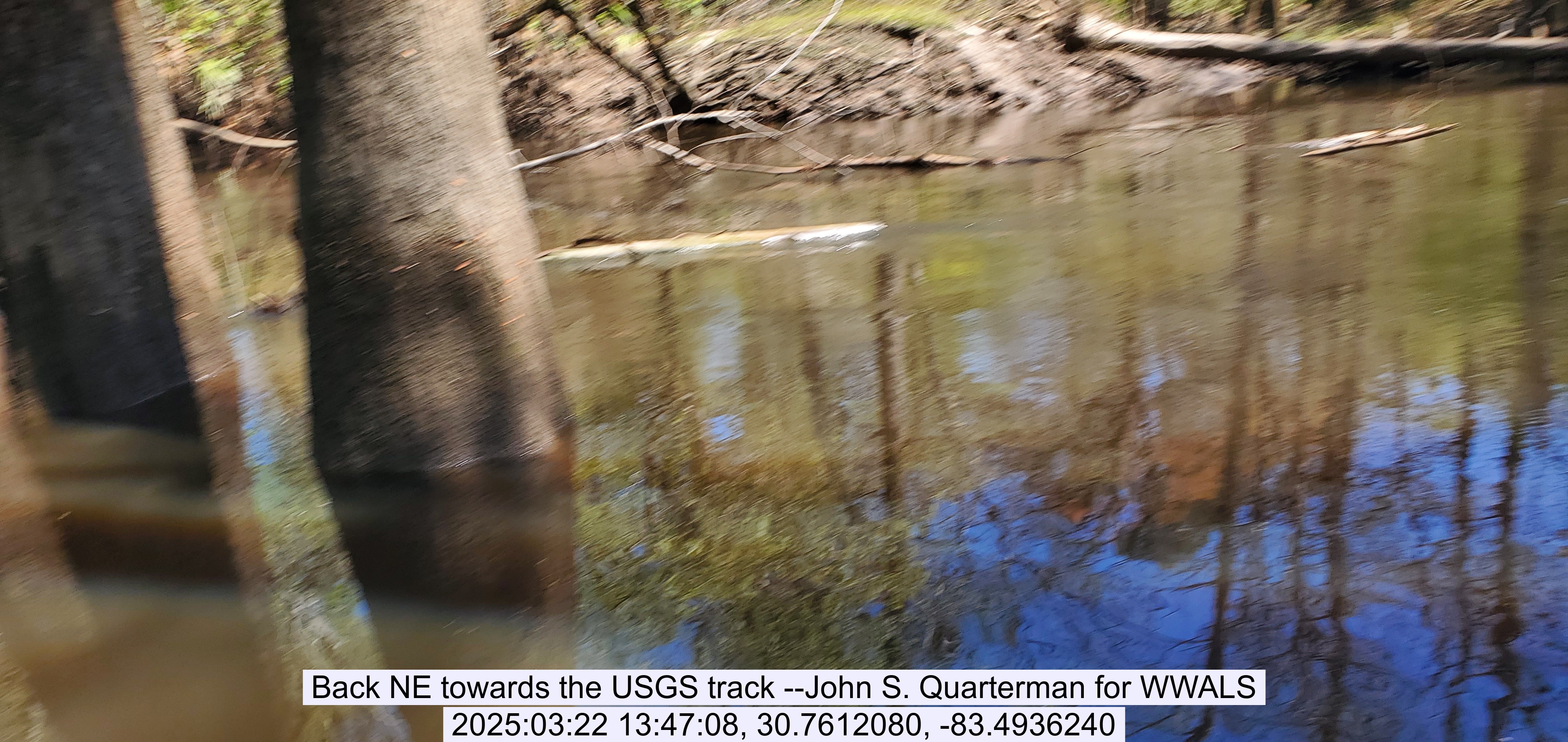 Back NE towards the USGS track --John S. Quarterman for WWALS, 2025:03:22 13:47:08, 30.7612080, -83.4936240