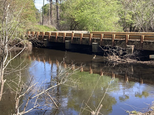 [Tyler Bridge, Franklinville, Withlacoochee River @ Frankinville Road 2025-03-26]