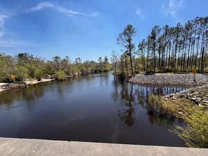 [Downstream, Lakeland Boat Ramp, Alapaha River @ GA 122 2025-03-26]