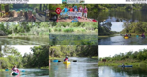 Ichetucknee River, Springs, Turtles, Birds, Tubers 2025-04-05, North Launch past South Launch, to US 27 Bridge