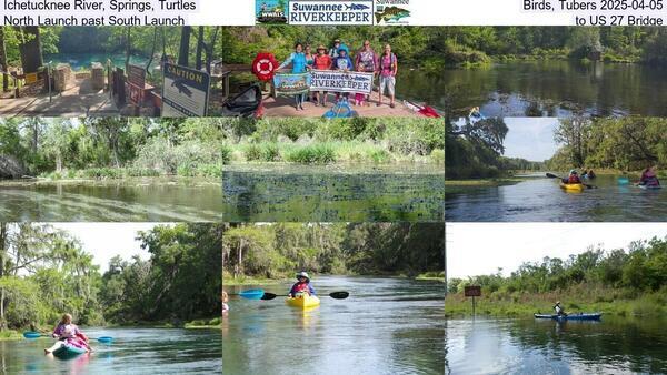 Ichetucknee River, Springs, Turtles, Birds, Tubers 2025-04-05, North Launch past South Launch, to US 27 Bridge