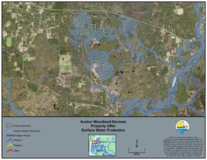 [Map: Surface Water Protection, Avalon Woodland Ravines]