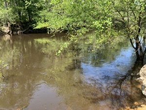 [Upstream, Troupville Boat Ramp, Little River @ GA 133 2025-04-09]