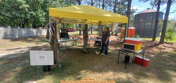 Honey Bees, 2025-04-12, A Day in the Woods, GFEC --jsq for WWALS