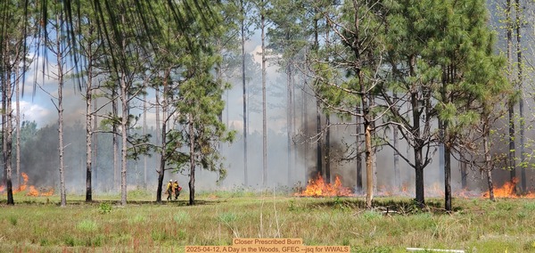 Closer Prescribed Burn, 2025-04-12, A Day in the Woods, GFEC --jsq for WWALS