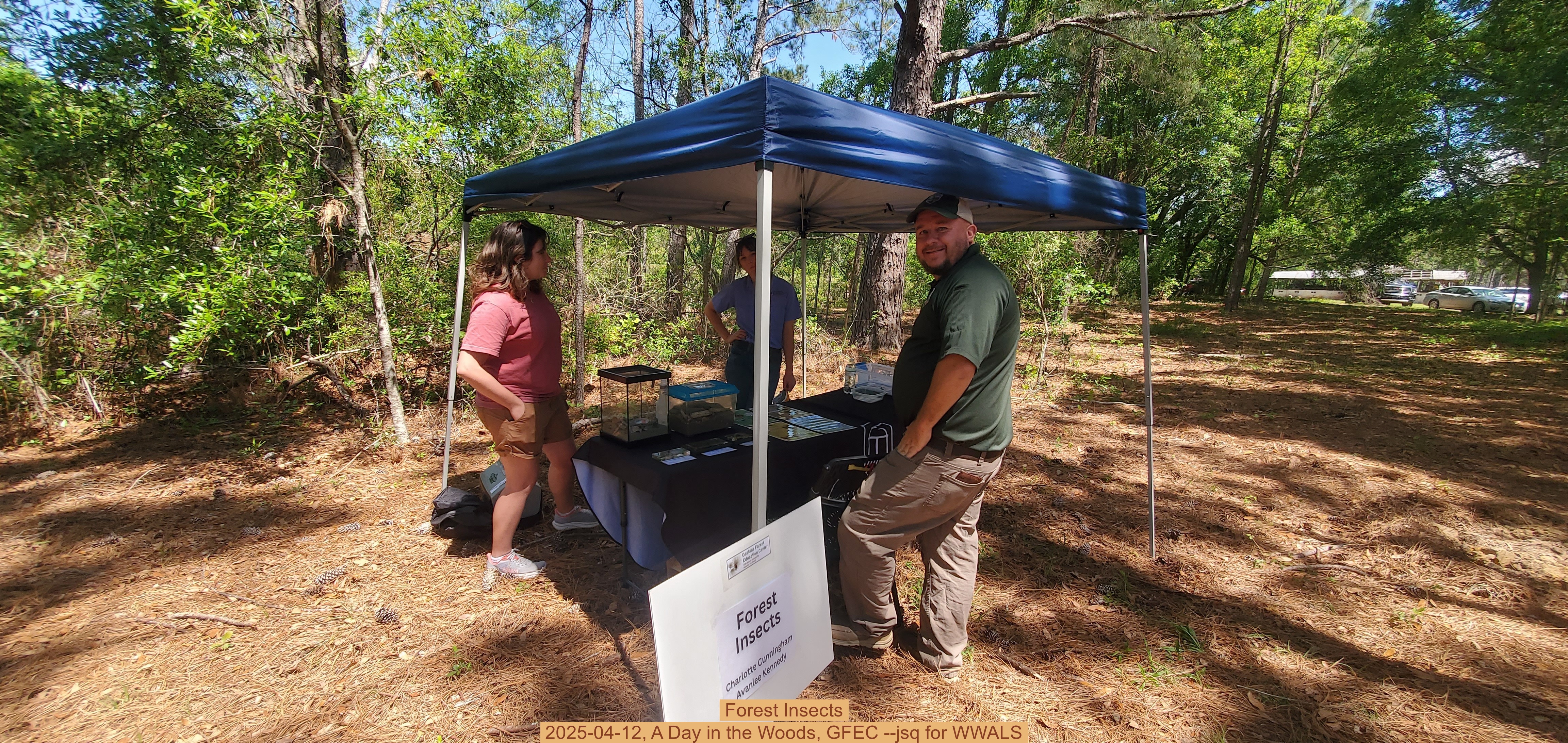 Forest Insects, 2025-04-12, A Day in the Woods, GFEC --jsq for WWALS