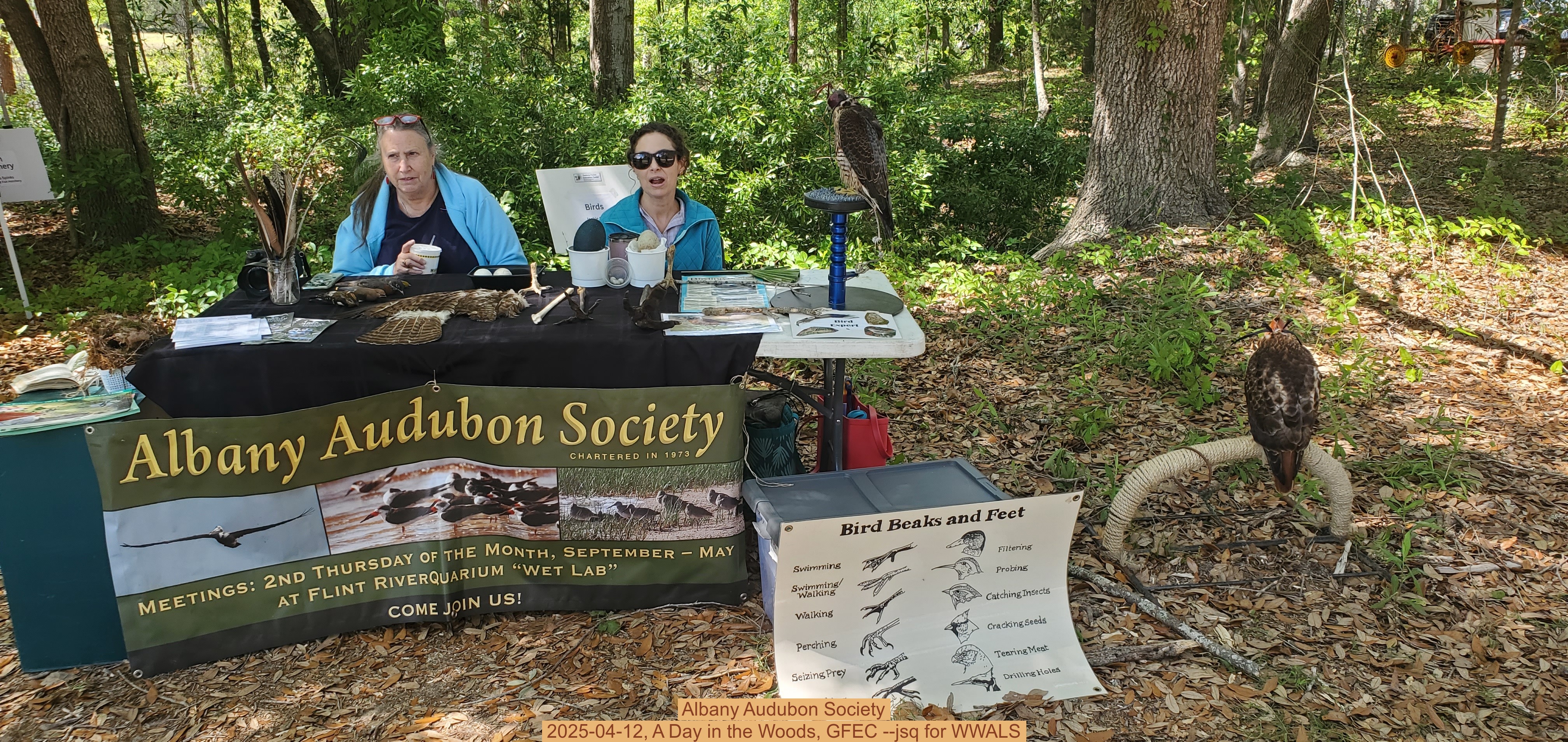 Albany Audubon Society, 2025-04-12, A Day in the Woods, GFEC --jsq for WWALS