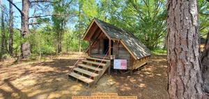 [Attic Work in Progress, 2025-04-12, A Day in the Woods, GFEC --jsq for WWALS]