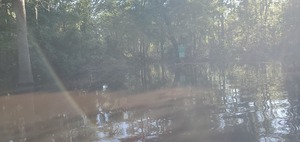 [No Parking sign in the water, 09:19:16, 30.8867933, -83.3232110]