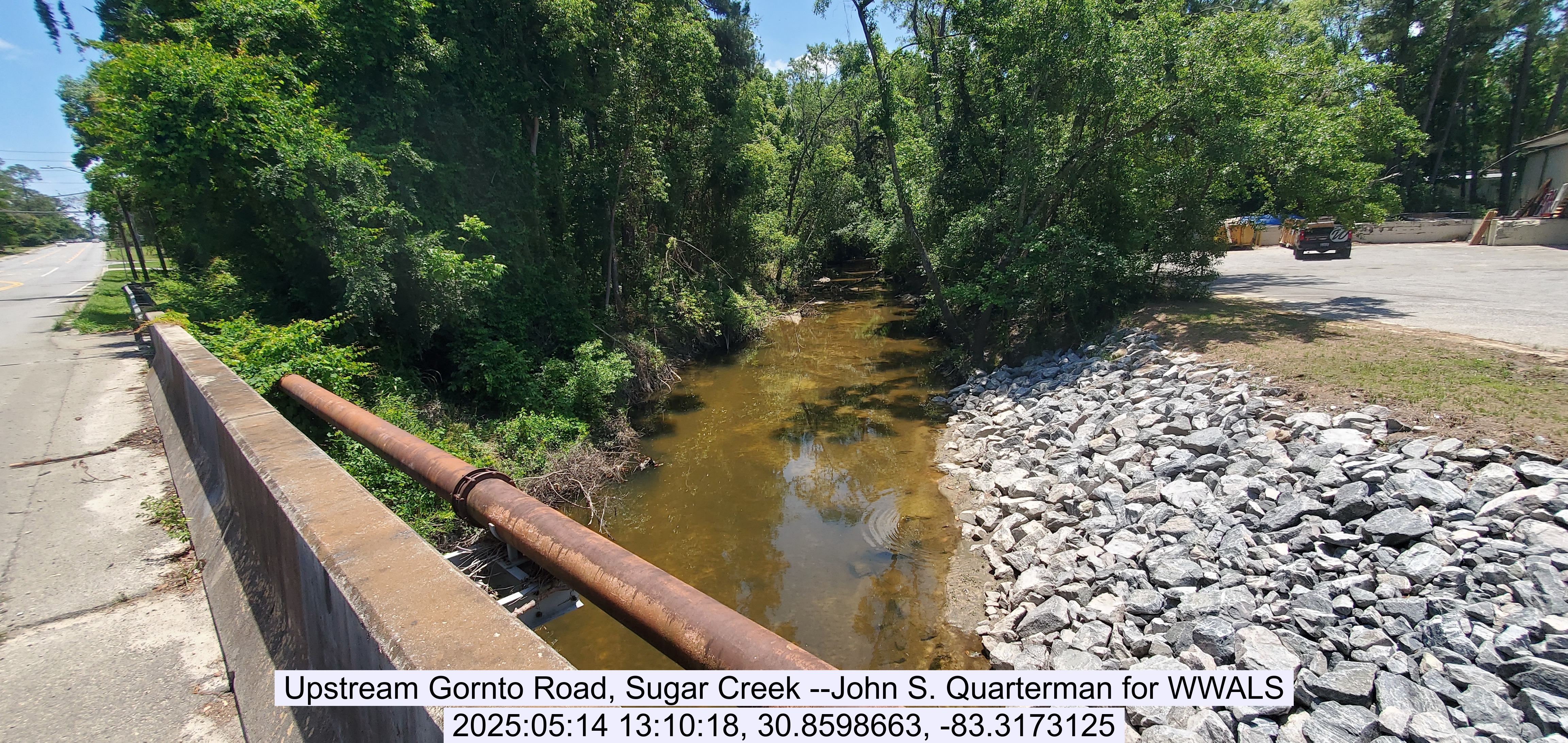 Upstream Gornto Road, Sugar Creek --John S. Quarterman for WWALS, 2025:05:14 13:10:18, 30.8598663, -83.3173125