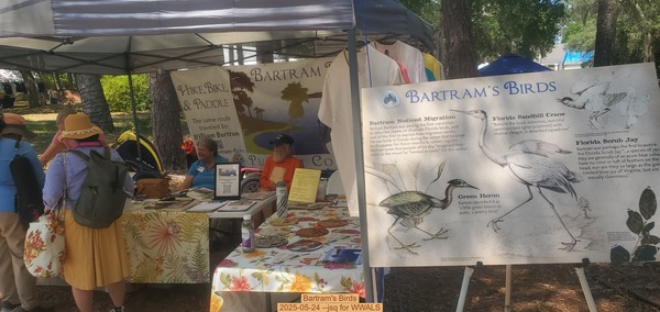 [Bartram's Birds, 2025-05-24 --jsq for WWALS]