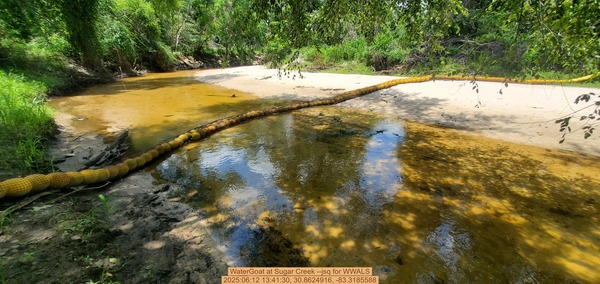 [WaterGoat at Sugar Creek, 2025:06:12 13:41:30, 30.8624916, -83.3185588]