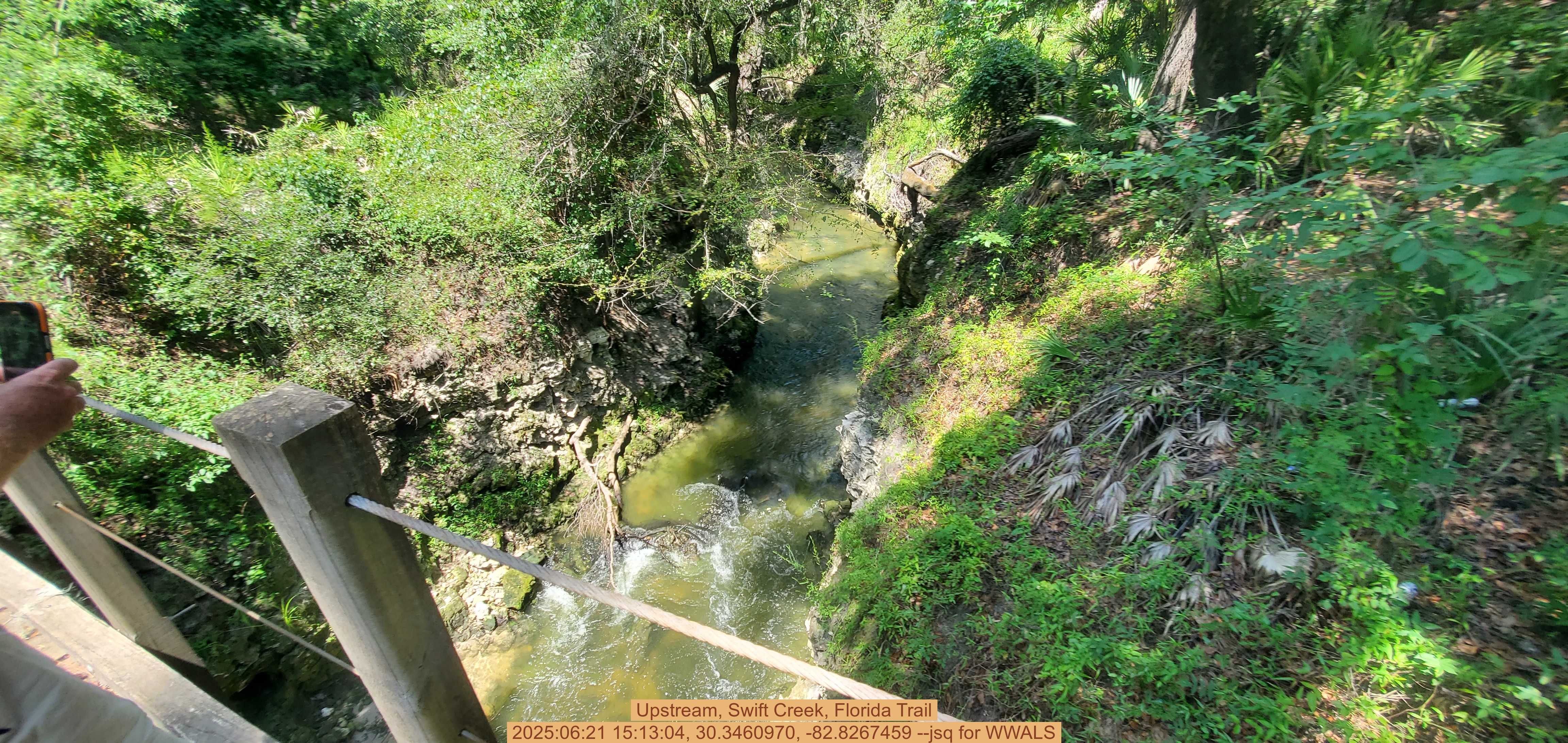 Upstream, Swift Creek, Florida Trail, 2025:06:21 15:13:04, 30.3460970, -82.8267459 --jsq for WWALS