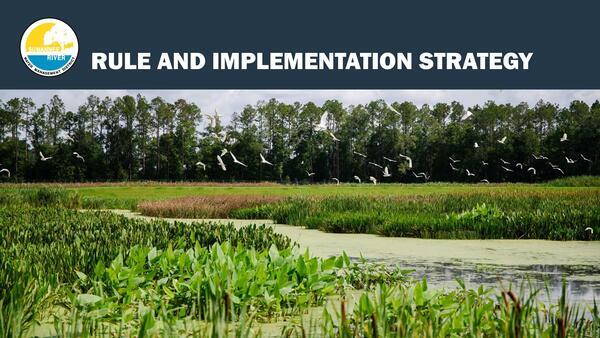 RULE AND IMPLEMENTATION STRATEGY