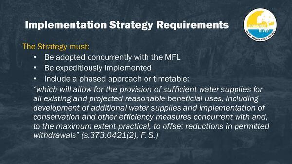 [Implementation Strategy Requirements]