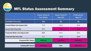 [MFL Status Assessment Summary]