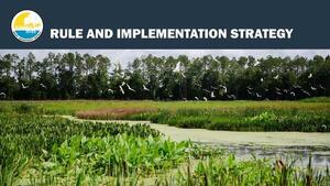 [RULE AND IMPLEMENTATION STRATEGY]