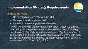 [Implementation Strategy Requirements]