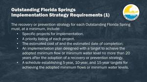 [Outstanding Florida Springs Implementation Strategy Requirements (1)]