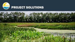 [PROJECT SOLUTIONS]