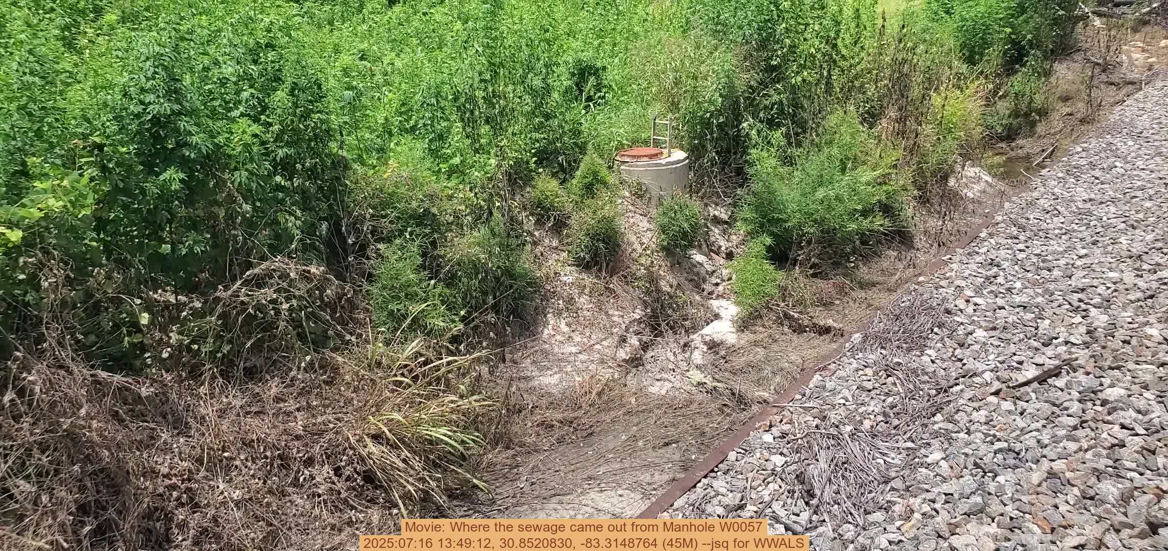 Movie: Where the sewage came out from Manhole W0057, 2025:07:16 13:49:12, 30.8520830, -83.3148764 (45M) --jsq for WWALS