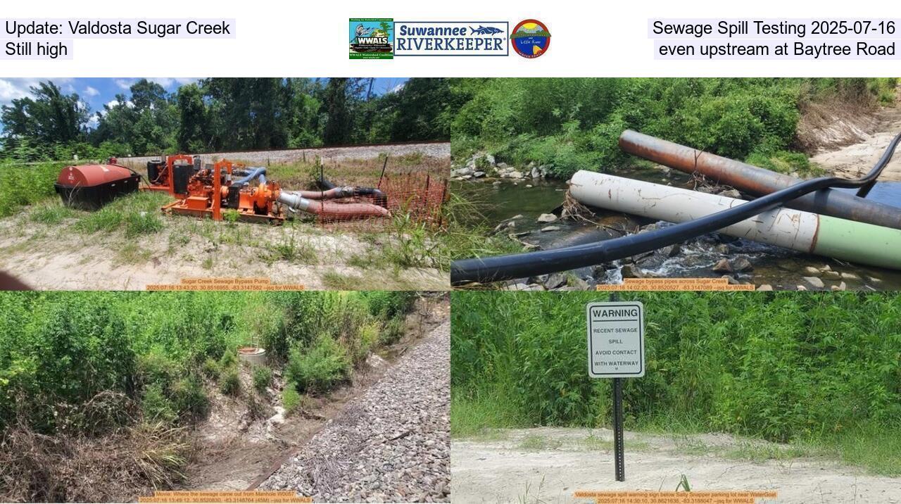 Update: Valdosta Sugar Creek Sewage Spill Testing 2025-07-16, Still high, even upstream at Baytree Road