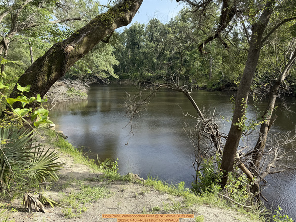 [Holly Point, Withlacoochee River @ NE Withla Bluffs Way 2025-07-16 --Russ Tatum for WWALS]