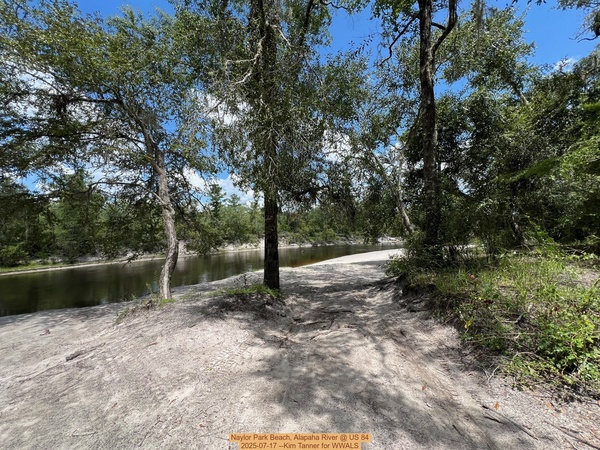 [Naylor Park Beach, Alapaha River @ US 84 2025-07-17 --Kim Tanner for WWALS]