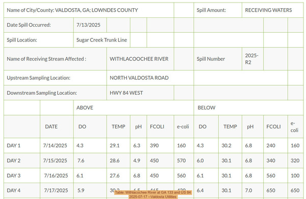 [Table: Withlacochee River at GA 133 and US 84, 2025-07-17 --Valdosta Utilities]