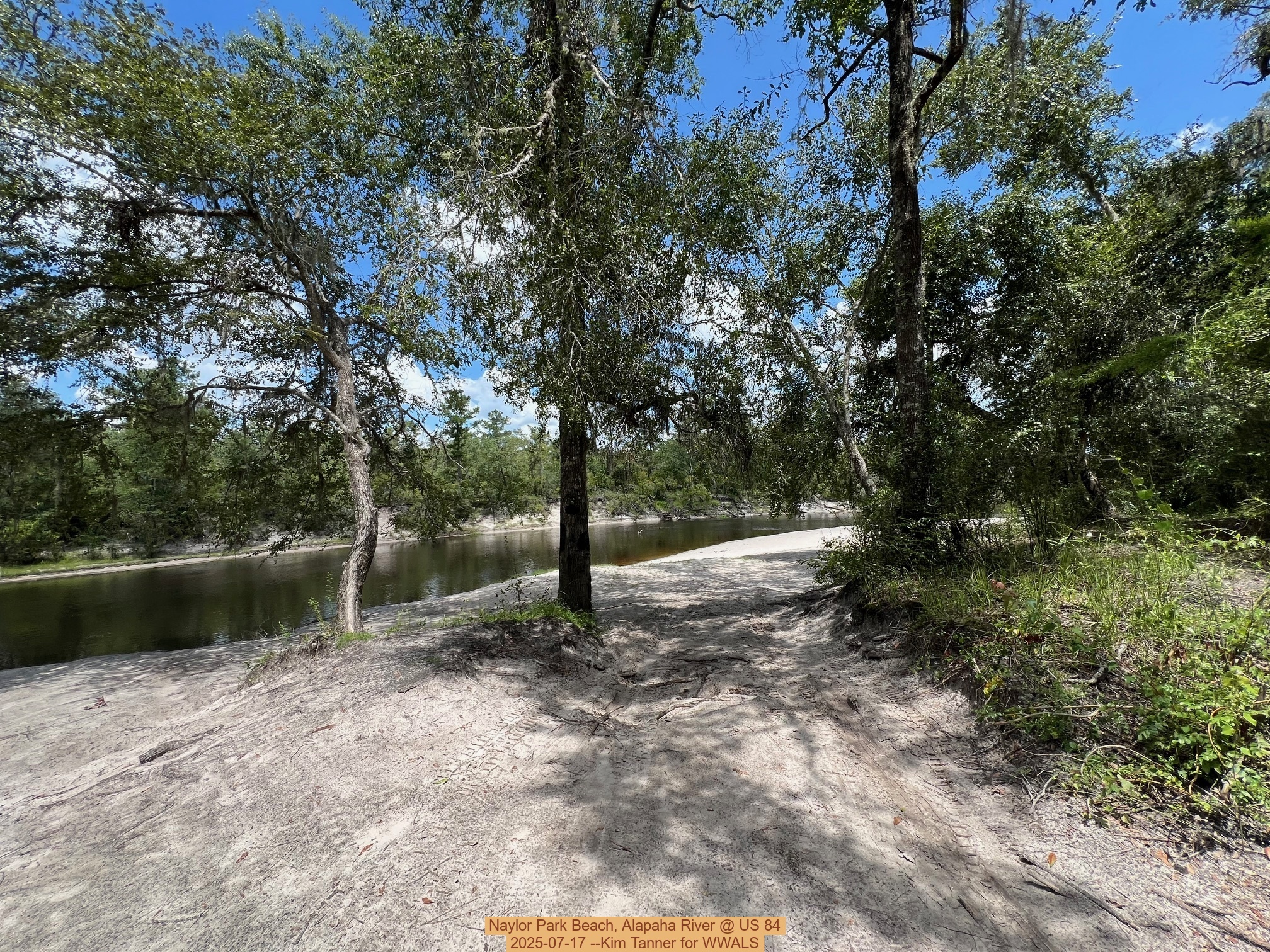 Naylor Park Beach, Alapaha River @ US 84 2025-07-17 --Kim Tanner for WWALS
